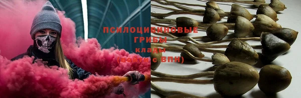 ешки Богданович