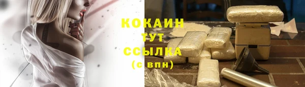 прущий лед Богородск