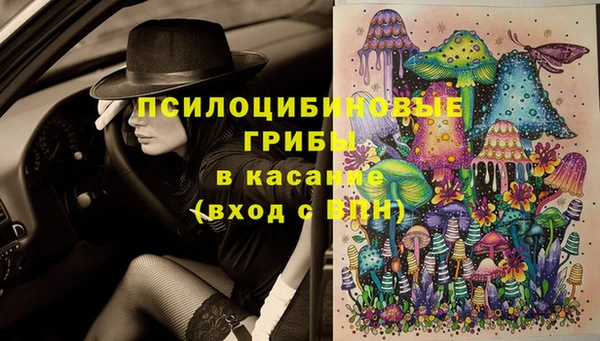 ешки Богданович