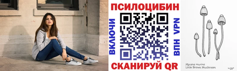 Купить где  Ликино-Дулёво  Псилоцибиновые грибы Psilocybine cubensis 
